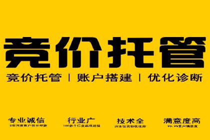 SEM广告案例：精准定位实现客户转化